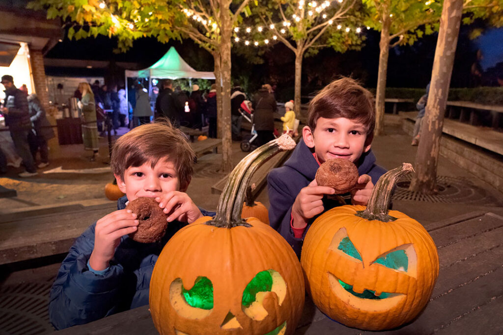 Pumpkin patch in Chicago