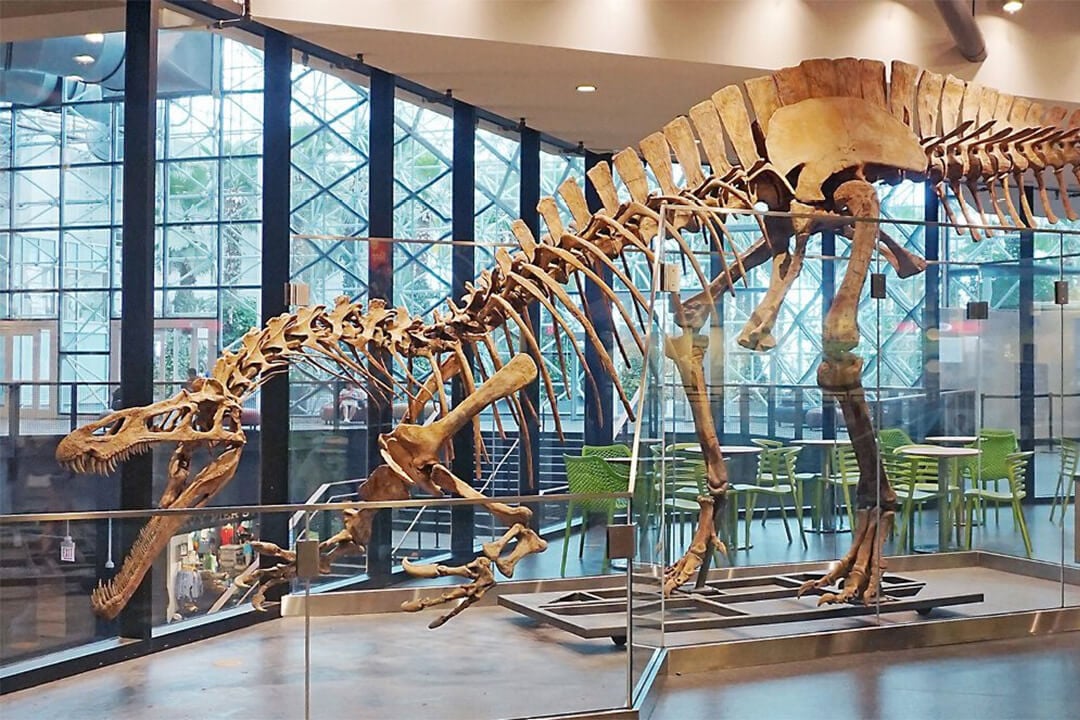 Chicago Children's Museum